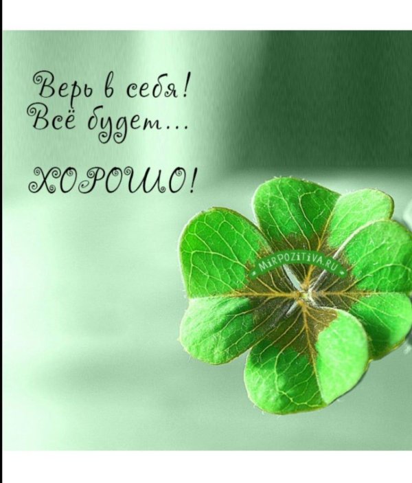 четырехлистный клевер