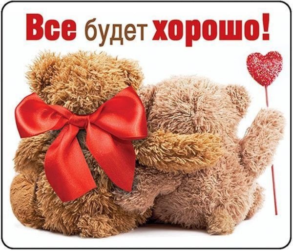 плюшевые медведи