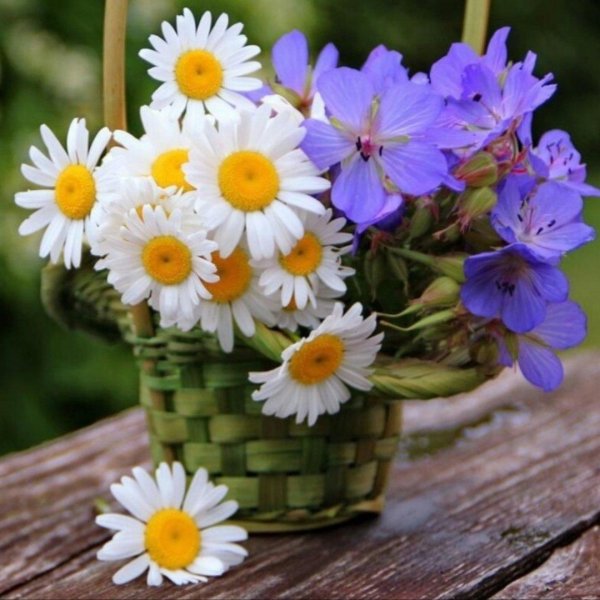 летние букеты