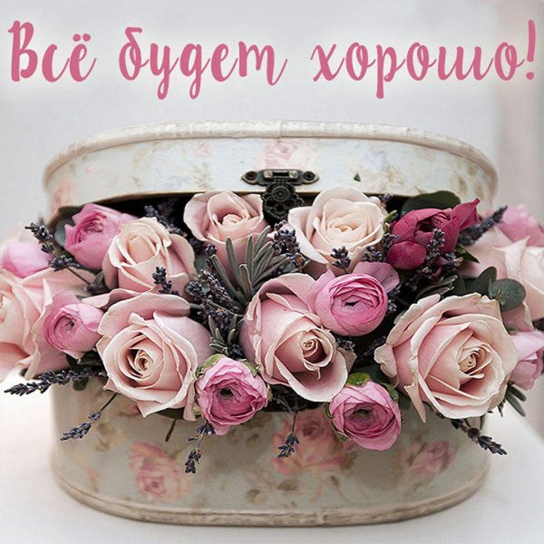 цветы в коробке