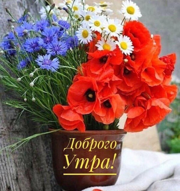 доброе утро доброе утро