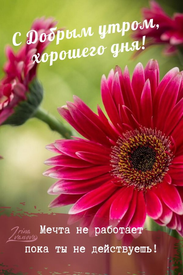 красивое пожелание доброго утра