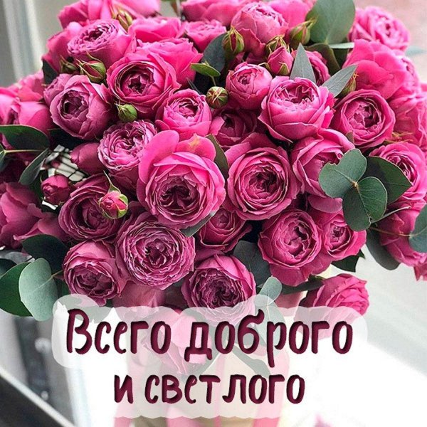 всего самого доброго и светлого