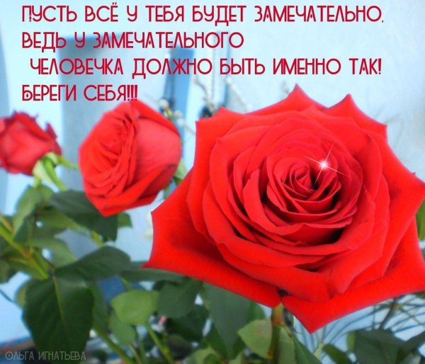 красивое поздравление