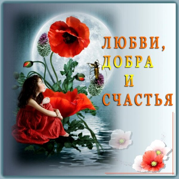 добра и счастья