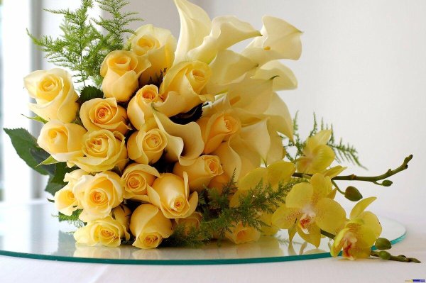 жёлтые розы