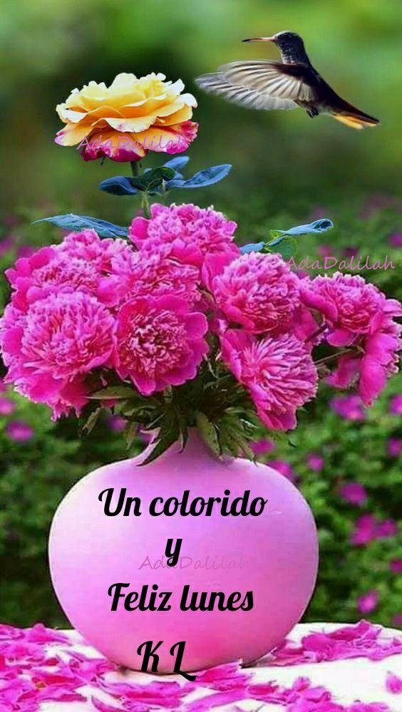 цветок пион