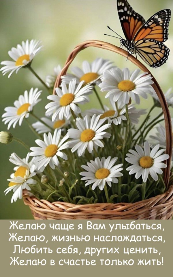 ромашковое лето