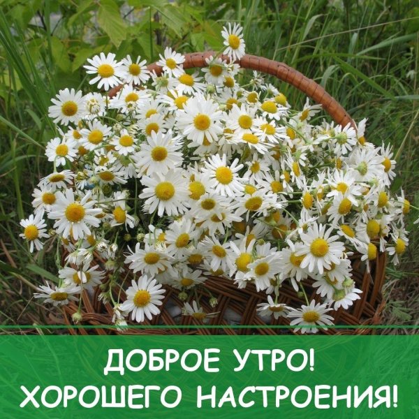 доброе утро и отличного настроения