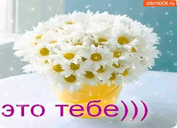 букет ромашек