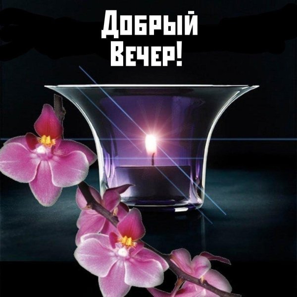 вечера доброго