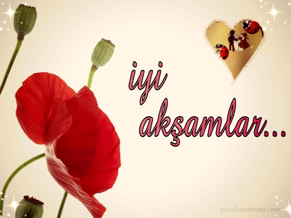 iyi akşamlar