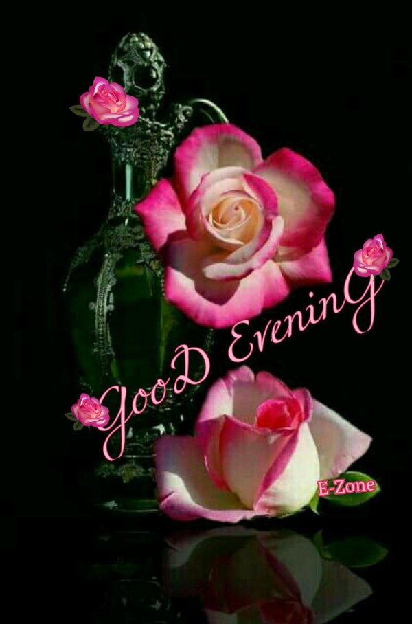 цветы добрый вечер