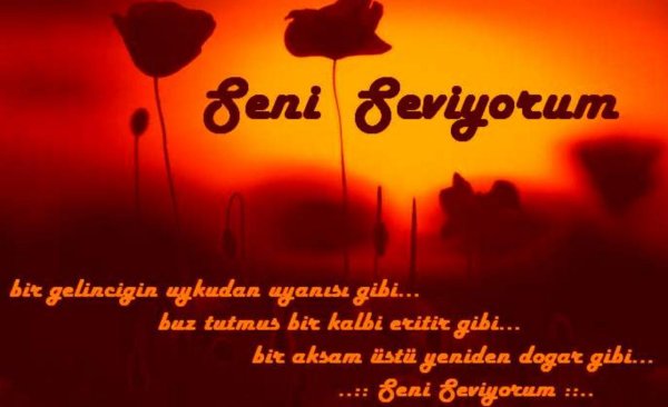 севги созлери