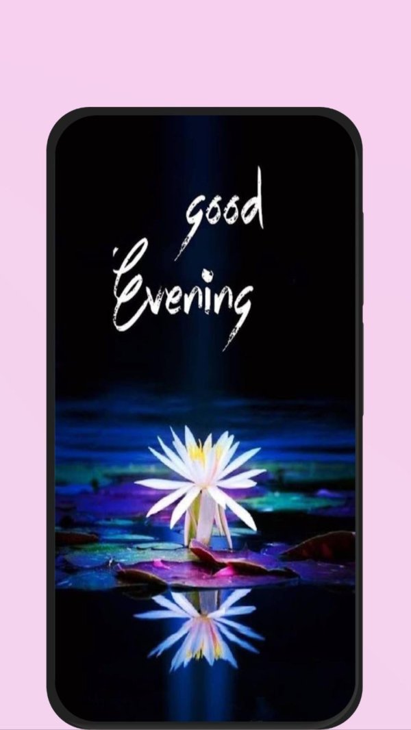 кувшинки ночью