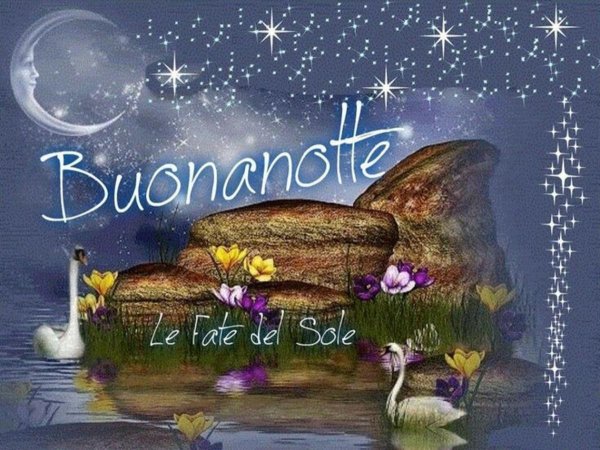buona notte