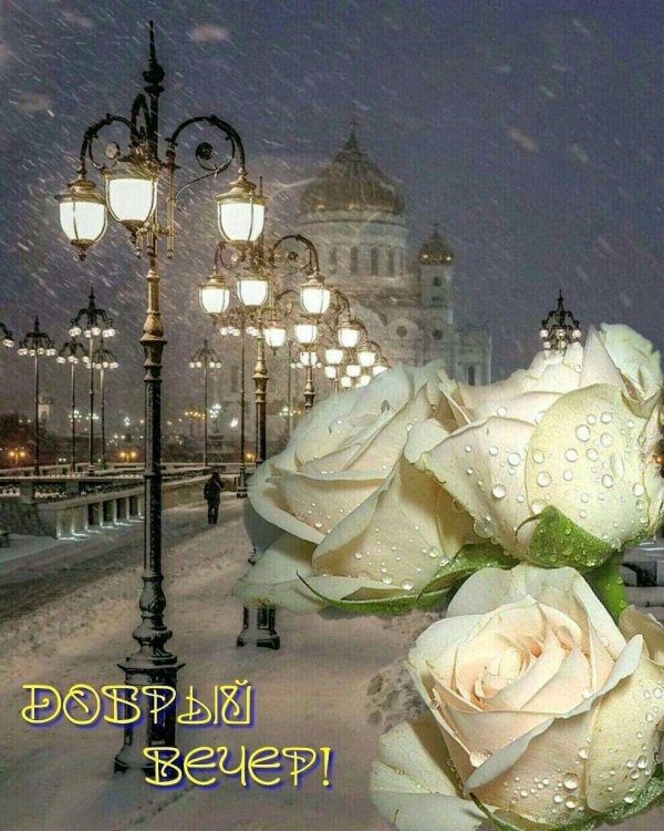 зимнего вечера доброго