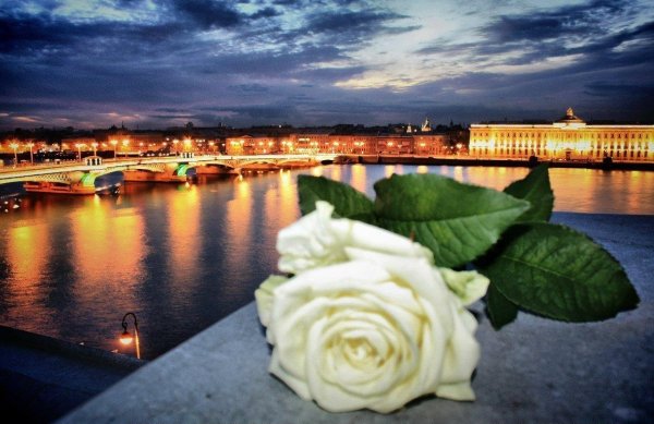 гранитная набережная невы