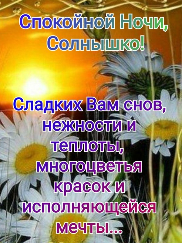 добрый вечер с ромашками