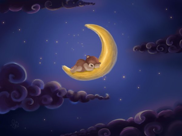 спокойная ночи