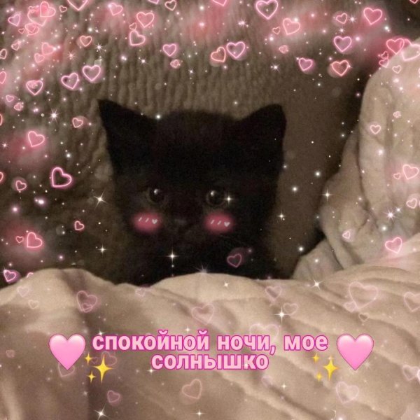 спокойной ночи мило