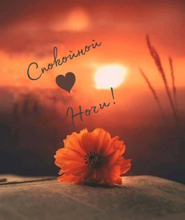 сладких снов любимая нежные