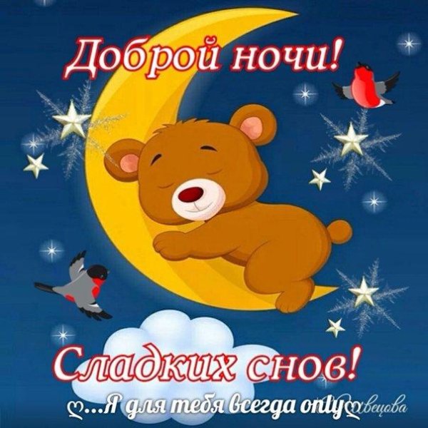 сладких снов медвежонок