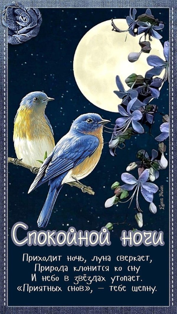 добрая ночь