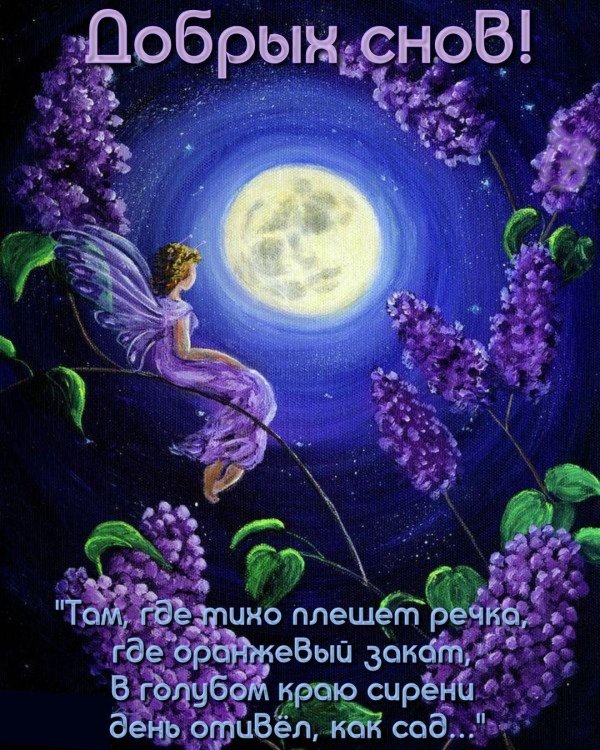 сказочная ночь