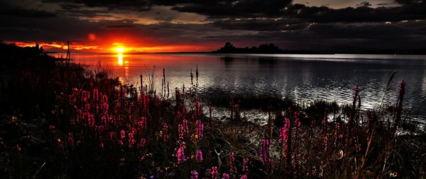 вечерние пейзажи