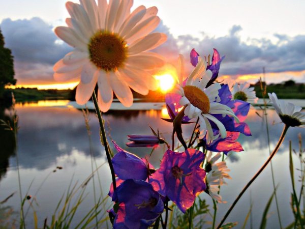 прекрасные мгновения жизни