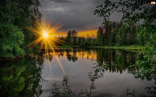 красивое солнце