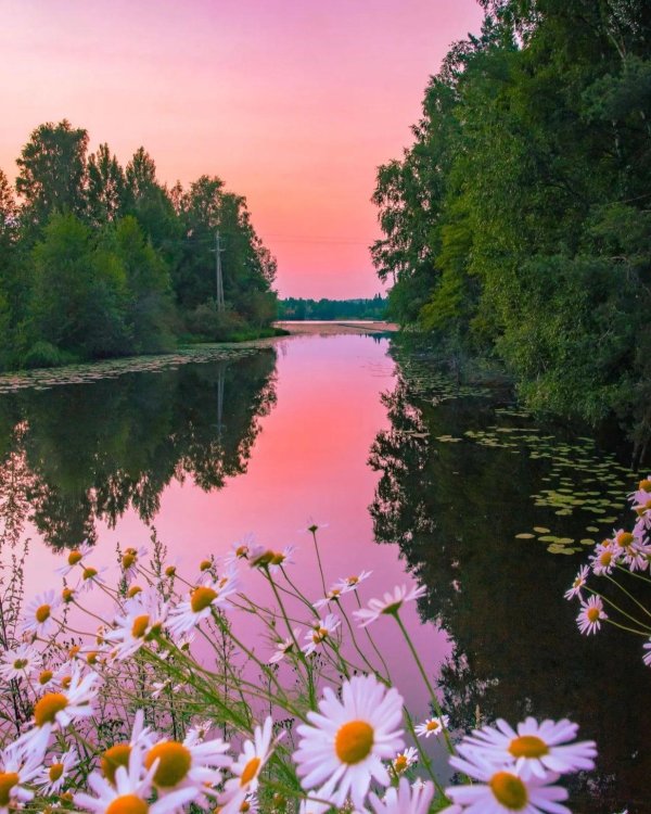 сказочная красота