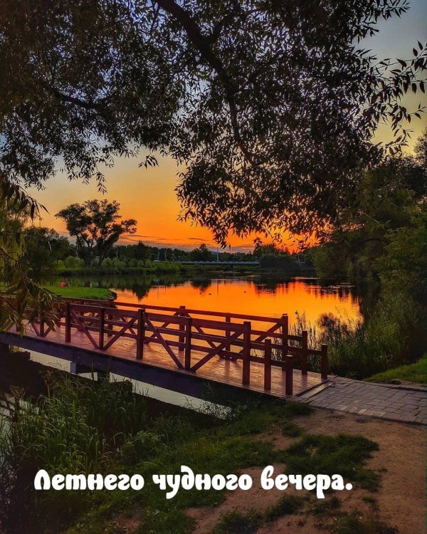 Добрый вечер лето природа