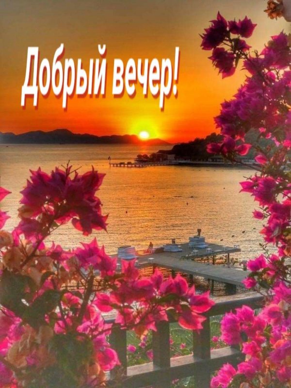 добрый вечер рая
