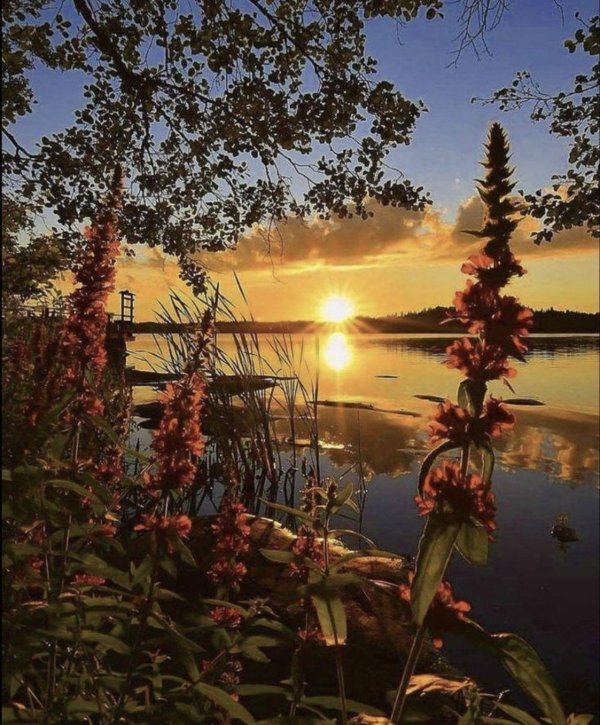 летний закат