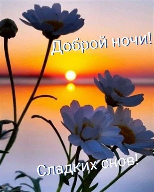 добрая ночь