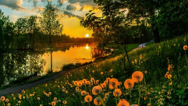 пейзажи летние