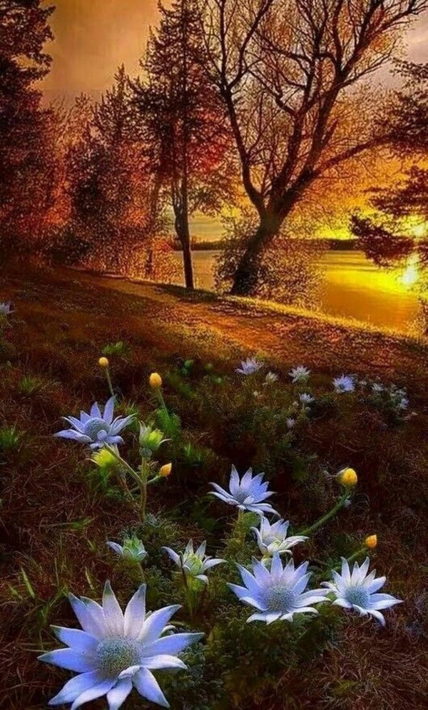 природа красивая