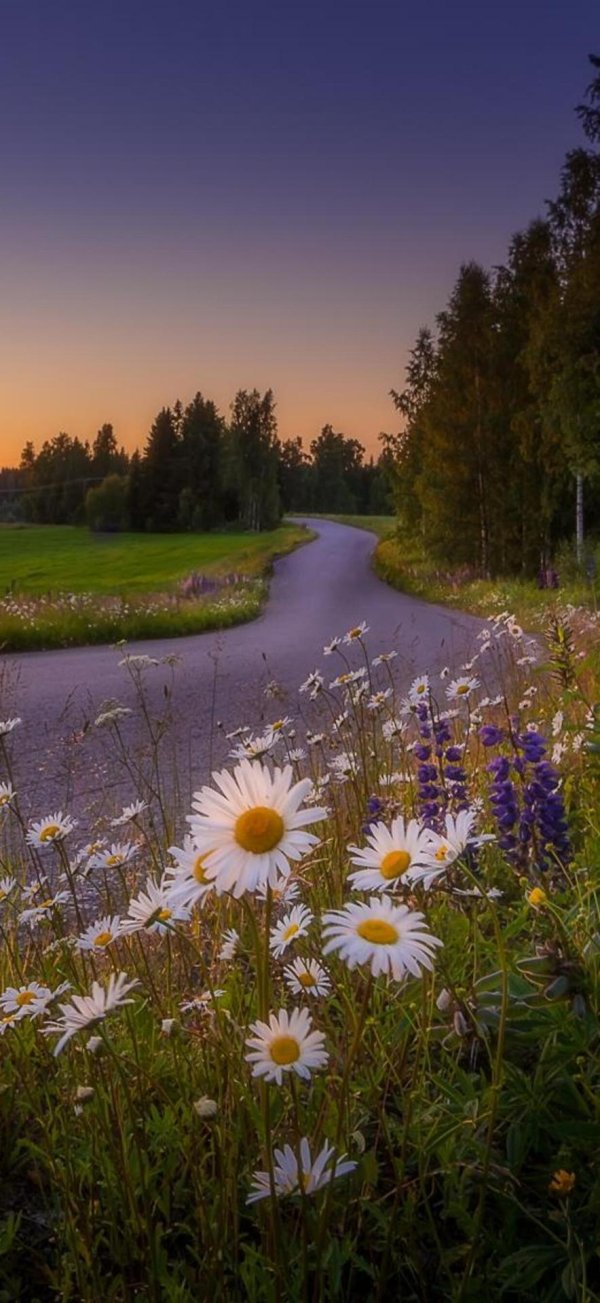 красивое лето