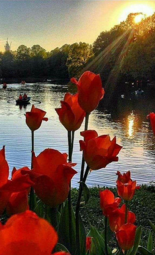 летний вечер