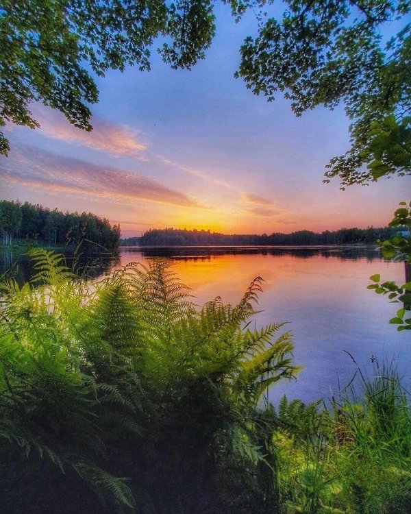 смоленское поозерье баклановское озеро