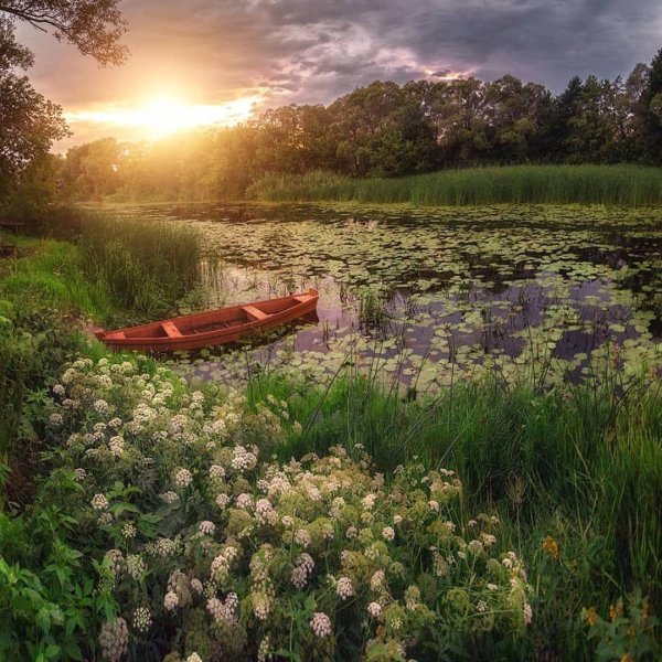 пейзажи летние