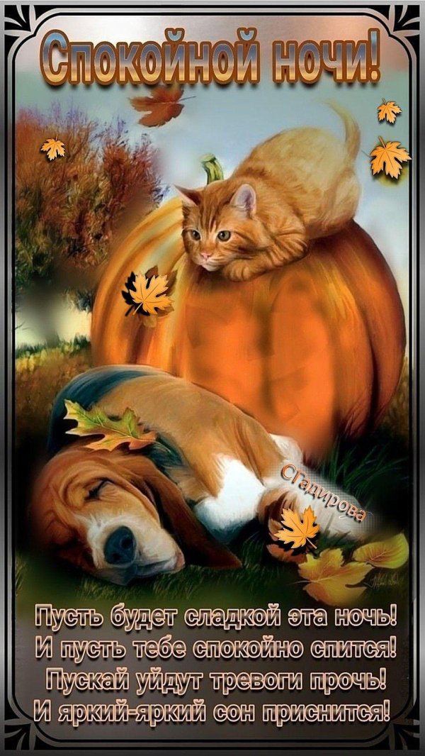пожелание спокойной ночи