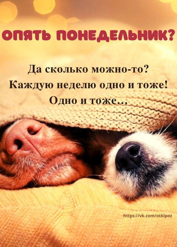 опять понедельник