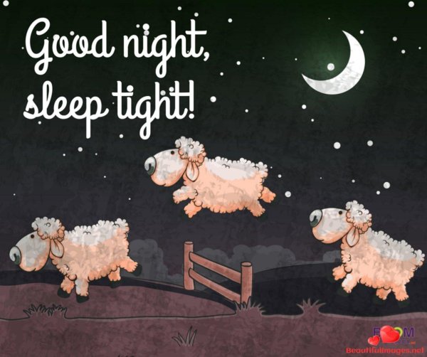 считать овец