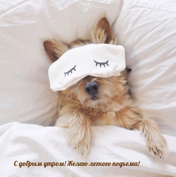 доброе утро вторник жиалтные