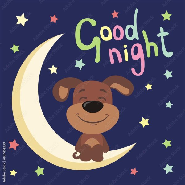 good night bear vector