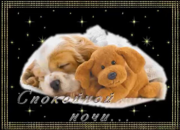 спокойной ночи малыш