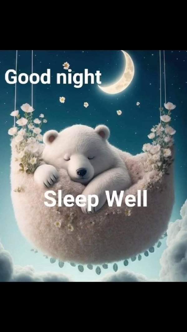 приятных сновидений